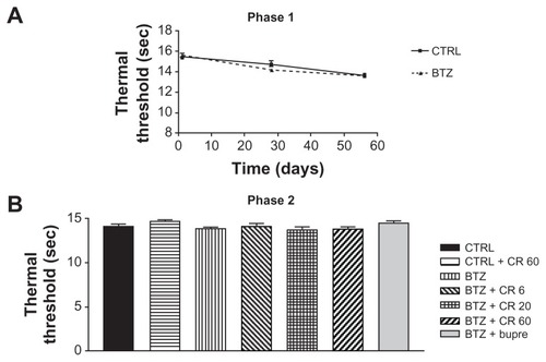 Figure 4 Plantar test phase 1 (A) and 2 (B) in Experiment 1: bortezomib (BTZ) and CR4056 (CR) did not induce any significant modification in thermal threshold with respect to the control (CTRL) rats at any experimental time point evaluated in this study.