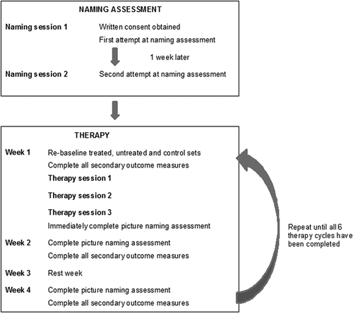 Figure 2. The design of the current study.