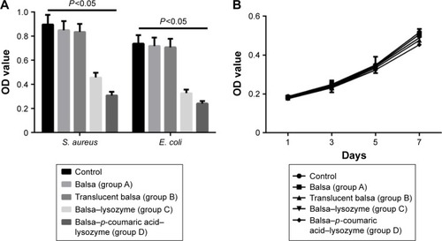 Figure 6 (A) Antibacteria OD values of Staphylococcus aureus and Escherichia coli in the five groups; (B) proliferation of fibroblasts was not inhibited in any group at 1–7 days.