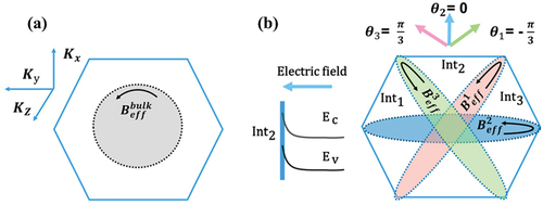 Figure 1. (a) The distribution of the intrinsic spin-orbit coupling effective magnetic field in momentum space. (b) The interface spin-orbit coupling effective magnetic field in momentum space [Citation63].