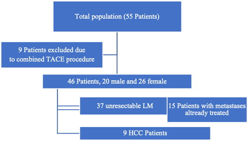 Figure 1. Flowchart illustrates number of patients treated with MWA, excluded patients, and subgroup population.