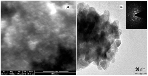Figure 2. (a) SEM image of agglomerated ZnO nanoparticles and (b) TEM image of the ZnO nanoparticles. Inset shows the selected area electron diffraction pattern revealing the crystalline structure of the ZnO nanoparticles.