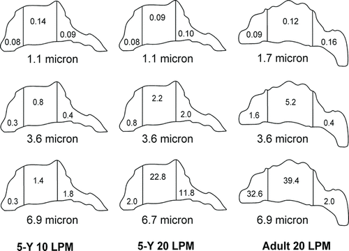 FIG. 10 Regional deposition efficiency in a child's nasal replica and an adult nasal replica for three different particle sizes.