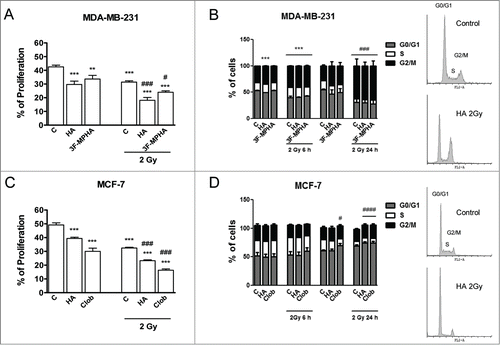Figure 2. Effect of radiation and/or histamine on cell proliferation and cell cycle distribution. (A,B) MDA-MB-231 and (C,D) MCF-7 cells were cultured in presence or absence of histamine (HA), 3F-MPHA, clobenpropit (Clob) or were left untreated (Control, C), and were irradiated 24 h after treatment. (A,C) The incorporation of BrdU was determined as percentage of positive cells 24 h after irradiation (ANOVA and Newman-Keuls post test, **P < 0.01; ***P < 0.001 vs. Control; #P < 0.05; ###P < 0.001 vs. 2 Gy Control). (B,D) The percentage of cells in different phases of the cell cycle was monitored as a function of time using flow cytometry. Results represent the mean value of 3 independent experiments. Insets show the data of untreated (control) and histamine-treated and 24 h post-irradiated cells (HA 2 Gy). ANOVA and Newman-Keuls post test, ***P < 0.001 vs. Control (6 h post-irradiation); #P < 0.05; ###P < 0.001 vs. Control (24 h post-irradiation).