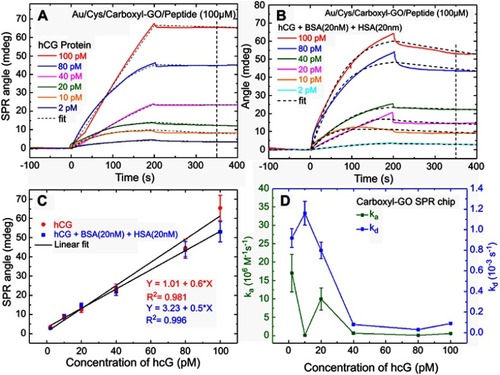 Figure 6 SPR sensorgrams for binding between peptides and hCG protein. The resonance angle shifts depended on (A) the carboxyl-GO chip with standard solutions of hCG concentrations alone, and (B) hCG mixed with BSA and HAS (20 nM each), respectively. (C) Characterization of peptide selectivity using both the single hCG protein and mixed protein experiments. (D) ka and kd values were obtained at different hCG protein concentrations by both kinetic and steady state fits.Abbreviations: SPR, surface plasmon resonance; hCG, human chorionic gonadotropin; GO, graphene oxide; ka, association rate constant; kd, dissociation rate constant.