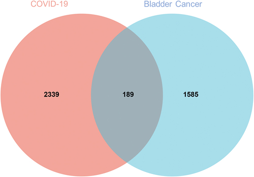 Figure 1. Identification of total genes, and intersection genes in bladder cancer and COVID-19.