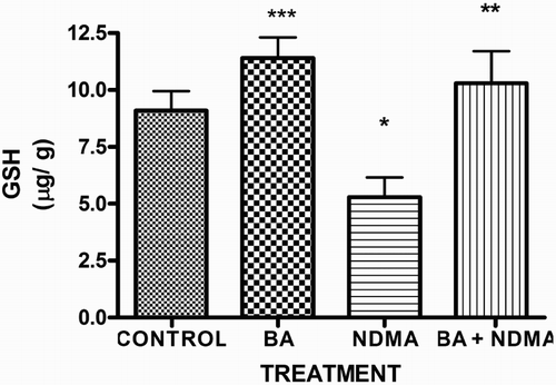 Figure 4. Levels of testicular GSH in rats treated with NMDA and BA (alone and combination).