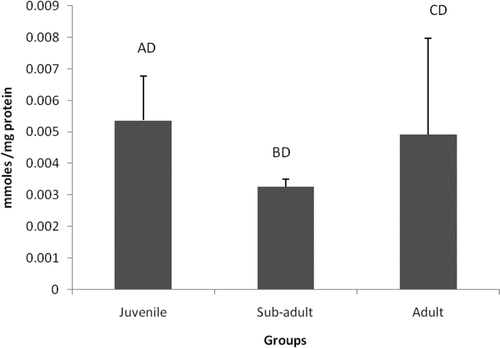 Figure 4. Levels of protein carbonyl content in different age groups of Eudrilus eugeniae. The values are mean ± SE of five animals per age group. Significance between group means is represented in uppercase. Those not showing the same letters are significantly different at P < 0.05.