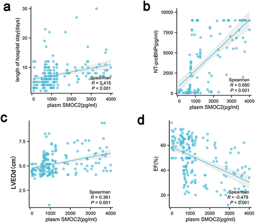 Figure 1 The correlation analysis of plasma SMOC2 between NT-proBNP, LVEDd, EF and length of hospital stay.