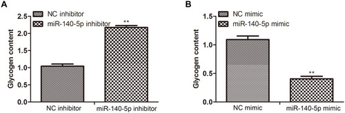Figure 4 Effect of miR-140-5P on the downstream substrates of target genes. (A and B) Glycogen content in HepG2 cells transfected with NC inhibitor, miR-140-5p inhibitor, NC mimic, miR-140-5p mimic (n=8). Data were expressed as the mean ± standard deviation; ** P<0.01 compared with the NC inhibitor/mimic group.