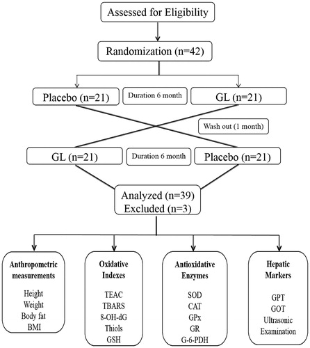 Figure 1. Flow chart of present study.