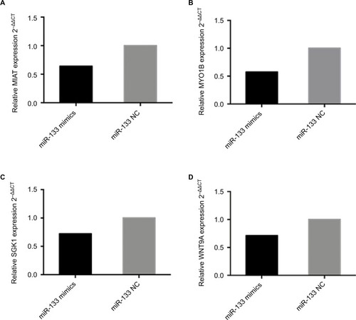 Figure 6 The expression levels of ceRNA in A549 following overexpression of miR-133 mimics compared to the negative control.Notes: MIAT served as a ceRNA by binding miR-133a-5p. The levels of (A) MIAT, (B) MYO1B, (C) SGK1 and (D) WNT9A were significantly decreased, determined by RT-PCR in A549 cells transiently transfected with miR-133a-5p mimics. Results are represented as 2–ΔΔCT related to GAPDH levels from three experiments, each with six replicates. All P values are from two-sided t-tests.Abbreviations: ceRNA, competing endogenous RNA; MIAT, myocardial infarction-associated transcript; MYO1B, myosin IB; NC, negative control; NSCLC, non-small-cell lung cancer; RT-PCR, real-time polymerase chain reaction; SGK1, serum/glucocorticoid regulated kinase 1; WNT9A, Wnt family member 9A.