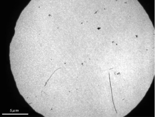 FIG. 9 TEM image for aerodynamic-classified airborne MWCNTs on grid opening; magnification × 5000.