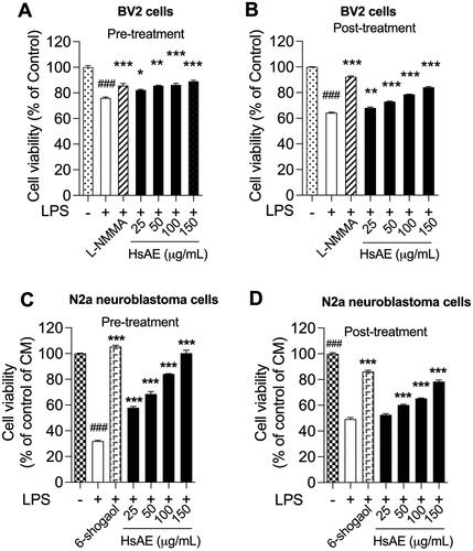 Figure 6. HsAE protects BV-2 cells from toxicity of LPS and N2a cells against LPS-stimulated apoptosis (A, B) Cytotoxic effects of pre- and post-treatment with HsAE at concentrations of 25, 50, 100, and 150 µg/mL for 30 min, followed by induction with LPS (100 ng/mL) for 24 h. (C, D) Cytoprotective effects of HsAE-treated BV-2 conditioned media in N2a cells after pre- and post-treatment. Cell viability is expressed as a percentage of the control group (set as 100%). All data are presented as the mean ± SEM (n = 3). Statistical differences were analyzed using one-way ANOVA followed by Tukey statistical post hoc test. *p < 0.05, **p < 0.01, ***p < 0.001 vs. LPS-treated group, ###p < 0.001 vs. untreated control group.