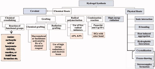 Figure 3. Various physical and chemical approaches for the synthesis of the hydrogel. Reproduced with permission from reference Sinha & Chakma (Citation2019).