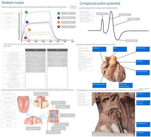 Figure 2. Screenshot from sample lessons.