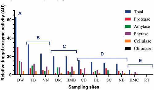 Figure 8. Relative extracellular enzyme activity (AU) of all fungal strains from each sample at Nha Trang Bay and Van Phong Bay, Khanh Hoa province, Vietnam. For each strain, 1 AU was defined as an enzyme activity unit with hydrolysis zone diameter D–d = 10–15 mm, 2 AU for D–d = 15-20 mm and 3 AU for D–d > 20 mm. Based on total relative enzyme activity shown, the samples were divided into 5 groups: Group A (>60 AU), Group B (23–33 AU), Group C (20 AU), Group D (12–16 AU), and Group E (0–5 AU).