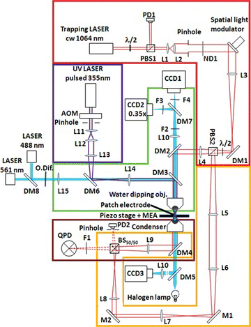 Figure 1 Schematic optical layout of the instrument (color figure available online).