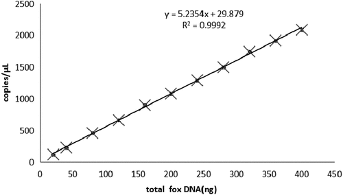 Figure 3. The relationship between the DNA content and the copy number of fox samples.