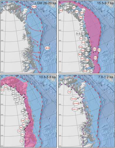 Figure 7. A data-based model of the evolution of the Greenland Ice Sheet in Northeast and North Greenland from the LGM to present. (a) LGM ice extent, (b) timing of deglaciation from shelf edge to coastline, (c) timing of deglaciation from coastline to present ice margin, and (d) timing of ice retreat inside the present ice extent. These reconstructions are based on new and existing 10Be (black font) and 14C (red font) ages (S. Håkansson Citation1974, Citation1975; Weidick Citation1976, Citation1977, Citation1978; Funder Citation1978, Citation1982, Citation1990; M. R. Kelly and Bennike Citation2008; Björck et al. Citation1994; Landvik Citation1994; Nam et al. Citation1995; Stein et al. Citation1996; Weidick et al. Citation1996; Hjort Citation1997; Wagner et al. Citation2000, Citation2010; Bennike and Weidick Citation2001; Bennike and Björck Citation2002; Christiansen et al. Citation2002; Evans et al. Citation2002; Wagner and Melles Citation2002; Nørgaard-Pedersen et al. Citation2003; L. Håkansson, Briner et al. Citation2007; Nørgaard-Pedersen, Mikkelsen, and Kristoffersen Citation2008; Klug et al. Citation2009; Bennike and Wagner Citation2012; Larsen et al. Citation2016, Citation2018, Citation2020; Biette et al. Citation2020; Skov et al. Citation2020).