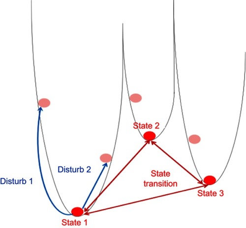 Figure 1 Schematic diagram of the conception of attractor. Balls in the figure, respectively, indicate one of the system states, the red balls are in stable states while the pink balls are in unstable states. The figure lists three stable states in a system and uses red double arrows to represent the dynamic process of state transitions between them. The blue arrows indicate that two different disturbances cause two type changes in system state, respectively. Both of the two disturbances make the system from a stable state into an unstable state, but it is temporary, because the system will return to the state 1 after a period of evolution. These changes could be used to indicate that the human body would be temporarily out of the disease attractor state after drug treatment (disturb 1 or disturb 2), but the designed drugs cannot completely cure disease, and after a period of time, the human body will come back to the disease attractor state again, which would cause the recurrence of disease. The other two stable states (state 2 and state 3) can represent the different phases of the disease, such as mild and moderate phases, so state 1 can represent the severe phases.