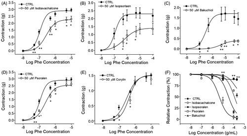 Figure 7. Effects of constituents of PCE on Phe-induced contraction of endothelium-intact aortic rings. Each constituent of PCE (final concentration, 50 µM) was added to endothelium-intact aortic rings 30 min prior to performing cumulative Phe concentration–response studies. (A–E) Representative concentration–response curve of isobavachalcone (A), isopsoralen (B), bakuchiol (C), psoralen (D) and corylin (E) are shown. (F) Effects of accumulative treatment with constituents on Phe (1 µM)-induced aortic contraction. Bars represent the mean values of inhibition ± SEM (n = 5). *p < 0.05, **p < 0.01 versus control.
