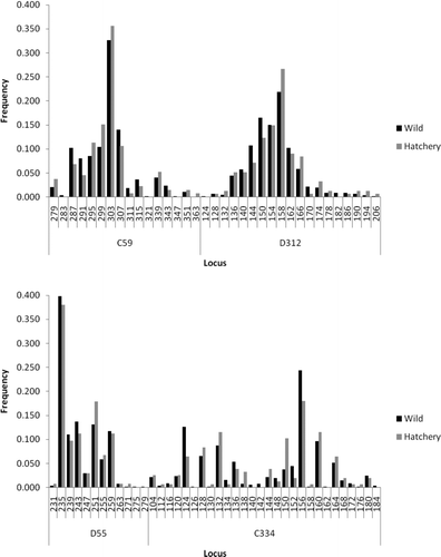 FIGURE A1 Comparison of allele frequencies at various microsatellite loci between hatchery and wild American shad from the Santee–Cooper River basin.