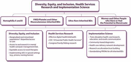 Figure 1. Working Group 5 Diversity, Equity, and Inclusion, Health Services Research, and Implementation Science schematic of community-identified areas for priority research framework *Marginalized and minoritized populations include people who have been traditionally underserved, excluded, and/or oppressed based on a given social standing or some characteristic including but not limited to race, ethnicity, sex, gender identity, sexuality, age, income, disability status, language, culture, faith, geographic location, and country of birth. †[Citation82] BD: bleeding disorder, CDC: (United States) Centers for Disease Control and Prevention, PROM: patient-reported outcome measure, QoL: quality of life, SOC: standard of care, VWD: von Willebrand disease.