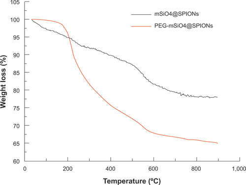 Figure S1 Thermogravimetric analysis of fmSiO4@SPIONs after PEG modification.Note: After PEG modification, about 13% of weight loss was observed.Abbreviations: mSiO4@SPIONs, mesoporous silica-coated superparamagnetic iron oxide nanoparticles; PEG, polyethylene glycol; fmSiO4@SPIONs, fluorescent mesoporous silica-coated superparamagnetic iron oxide nanoparticles.