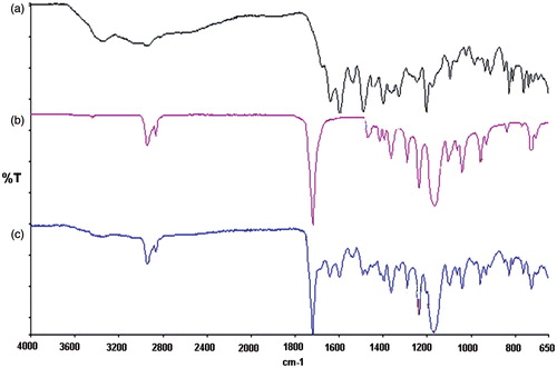 Figure 1. FTIR spectroscopy of the pure MTX (a), PCL implants (without drug) (b) and MTX PCL implants (c).