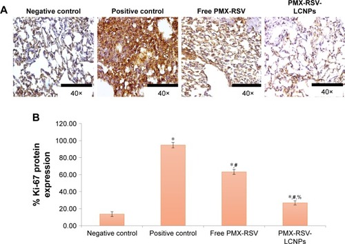 Figure 6 Immunohistochemical analysis: (A) Ki-67 staining. (B) % expression of Ki-67 of excised lung sections of urethane-induced lung cancer-bearing mice received free PMX-RSV and ion-paired PMX-RSV-LCNPs (F10) in comparison to untreated positive control.Note: *P<0.05 vs negative control, #P<0.05 vs positive control, %P<0.05 vs free PMX-RSV mixture.Abbreviations: LCNPs, liquid crystalline nanoparticles; PMX, pemetrexed; RSV, resveratrol.