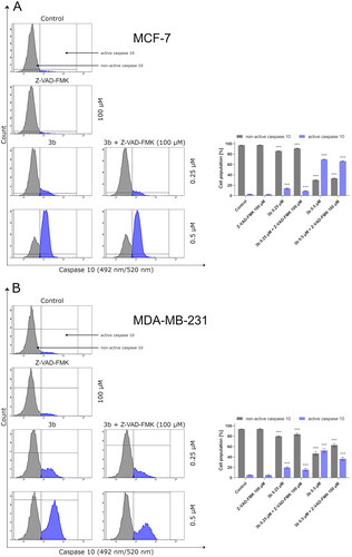 Figure 8. The activity of caspase 10 in MCF-7 (A) and MDA-MB-231 (B) breast cancer cells incubated with 3b (0.25 μM and 0.5 μM) in the absence and presence of Z-VAD-FMK (100 μM) for 24 h. Mean percentage values from three independent experiments done in duplicate are presented. ***p < 0.001 vs. control group.