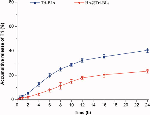 Figure 2. In vitro release profiles of Tri from Tri-BLs and HA@Tri-BLs in pH 7.4 phosphate buffered saline (PBS) based on the reverse dialysis method.