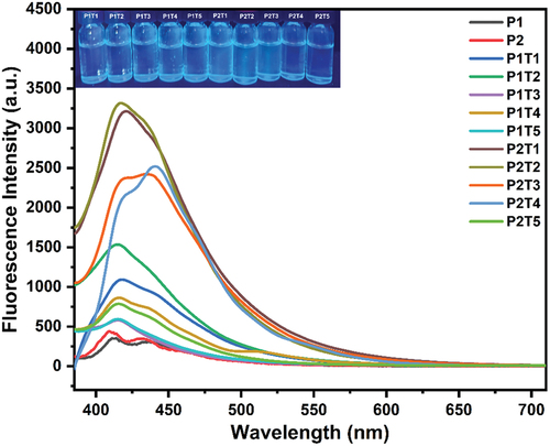 Figure 3. Fluorescence emission spectra of P1, P2 and functionalized polysiloxanes (PxTy, x = 1 or 2; y = 1 to 5) in DCM (10 mg/mL, λex = 365 nm).