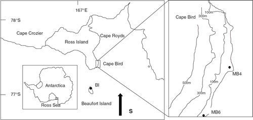Fig. 1  Map of East Antarctica showing the sampling sites.