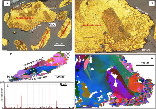 Figure 7. Images of contrasting grain size and texture of core and rim of weakly deformed gold particles from Waikaia placer mine. A, Incident light image of etched section of particles with large coarse-grained cores and narrow finer grained rims. B, Close view of portion of central particle in A, showing contrast in grain size highlighted with etching. C, EBSD image of the coarse internal grain structure of the same area as in B, with gradational colour changes showing the weak ductile deformation. D, EBSD map of a moderately flattened flake dominated by coarse grains and a thin fine-grained edge. E, Bar graph of crystallographic angular misorientation across grain boundaries along a longitudinal transect of the particle in D.