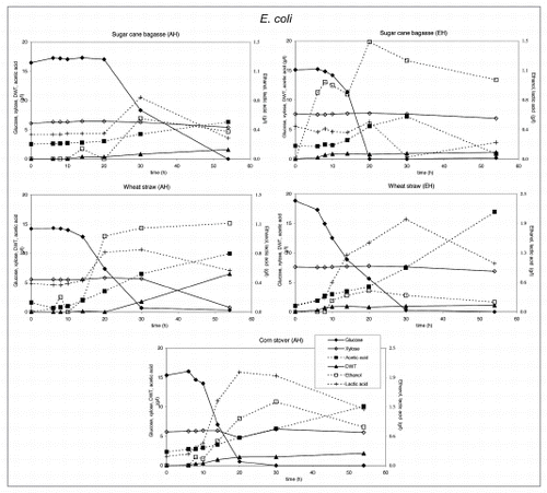 Figure 2 Substrate utilization and product production performance of E. coli on sugar cane bagasse (AH), wheat straw (AH), corn straw (AH), sugar cane bagasse (EH), wheat straw (EH).