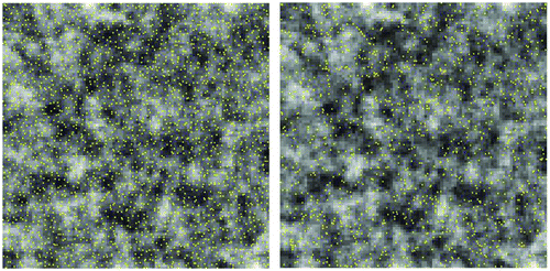 Figure 13. A random sample (n = 1326, right) of the hexagon stratified random sample set (n = 2438, left).