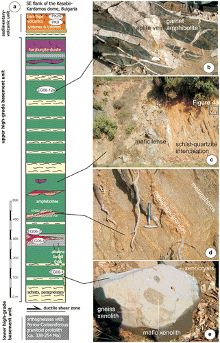 Figure 3. Lithologic context and field relations of the studied metamorphic basement rocks and volcanic rocks: (a) columnar section of the rock succession in sampled fragment of the upper unit of the high-grade basement and the sedimentary-volcanic unit, showing the location of U-Pb LA-ICP-MS geochronology samples, (b) metamorphic succession of alternating different metasedimentary lithologies hosting lenses of metaultramafic-mafic rocks, (c) metagabbros intruded by irregular metaplagiogranite veins, (d) garnet amphibolite (sample EG 06-12a) cross-cut by numerous multi-generation aplite veins, (e) alkaline basalt dyke fragment depicting the texture and the occurrences of xenoliths and xenocrysts within the rock. Coin for scale is 4 cm in diameter. This rock, devoid of xenoliths, is representative for the sample EG 06-1.