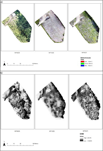 Figure 12. (a) Shows the orthomosaic RGB imagery of the northern tower span, June 2020, October 2020 and May 2021, (b) displays the CHM for the northern tower span (from L to R) June 2020, October 2020 and May 2021.