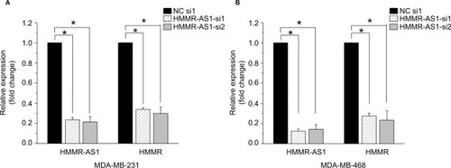 Figure 2 The expression levels of HMMR mRNA and HMMR-AS1 long noncoding RNA in (A) MDA-MB-231 and (B) MDA-MB-468 cells after siRNA transfection. The results showed that the expression levels of HMMR-AS1 and HMMR were significantly reduced in HMMR-AS1 siRNA groups. *P<0.05 compared with the siRNA control group.