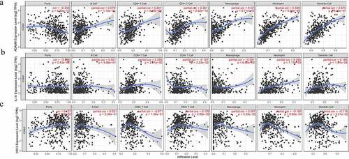 Figure 4. Correlation between three expressed prognostic genes and immune cell infiltration through TIMER