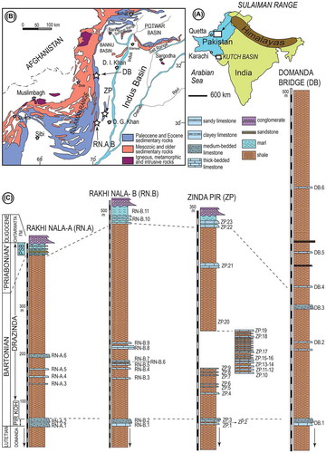 Figure 2. Location of Sulaiman Range in Pakistan to the west of Himalayas (A), simplified geological map of the Sulaiman Range and position of the studied sections (B), and generalised stratigraphic sections and sampling points in the Pirkoh and Drazinda formations (C). Geological map is simplified from Kazmi and Rana (Citation1982). PSB: Pellatispira beds.