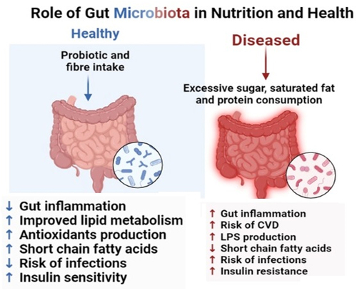 Figure 10. Gut health reduces the risk of various diseases.