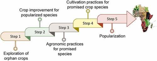 Figure 3. Displays the rich salient attributes of orphan crops fitting to human health and sustainable agricultural development for food and nutritional security.