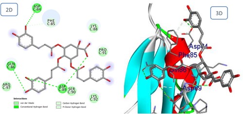 Figure 10. 2D and 3D representation of predicted binding mode of 3,4,5-tricaffeoylquinic acid with BMPIA receptor.