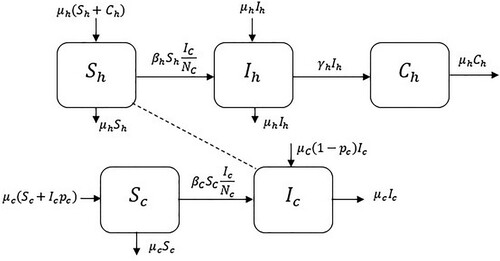 Figure 1. Flow chart of the system.