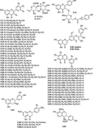 Figure 6. Structures of flavonoids and isoflavonoids derivatives (5.1–5.53) reported in the genus Salsola.