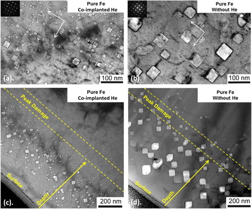 Figure 2. BF TEM images of cavities in α-Fe when (a) helium was co-implanted to 17 appm He/dpa at damage peak and (b) without helium co-implantation. Imaging was performed exactly on (001) zone axis, as evidenced by the diffraction patterns shown as insets. (c), (d). TEM images of depth distribution of cavities with and without helium co-implantation respectively, imaged far away from diffraction conditions. (under-focus = −1136 nm).