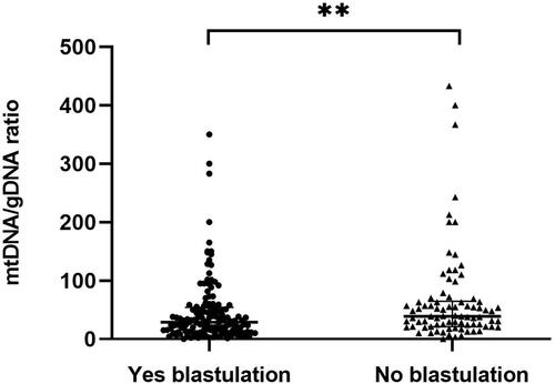 Figure 6 Comparison of mtDNA/gDNA in embryo culture medium of groups with different blastulation outcomes. Embryos were grouped according to whether they grew to the blastocyst stage or not. One black dot or black triangle represents one sample. Data are presented as the median with interquartile ranges (Q1–Q3). (**P <0.01).